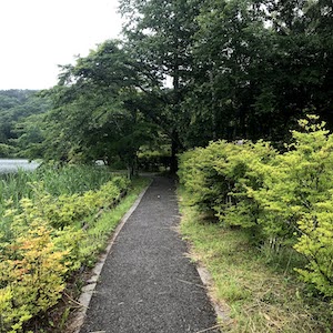 遊歩道　蓼の花キャンプ場