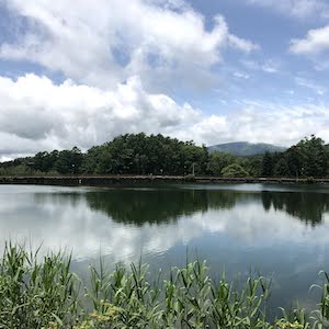 湖畔　蓼の花キャンプ場