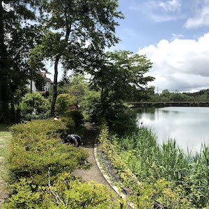 遊歩道　蓼の花キャンプ場